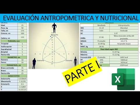 Plantilla Excel para Evaluación Antropométrica y Cálculo Nutricional: Descarga Gratis